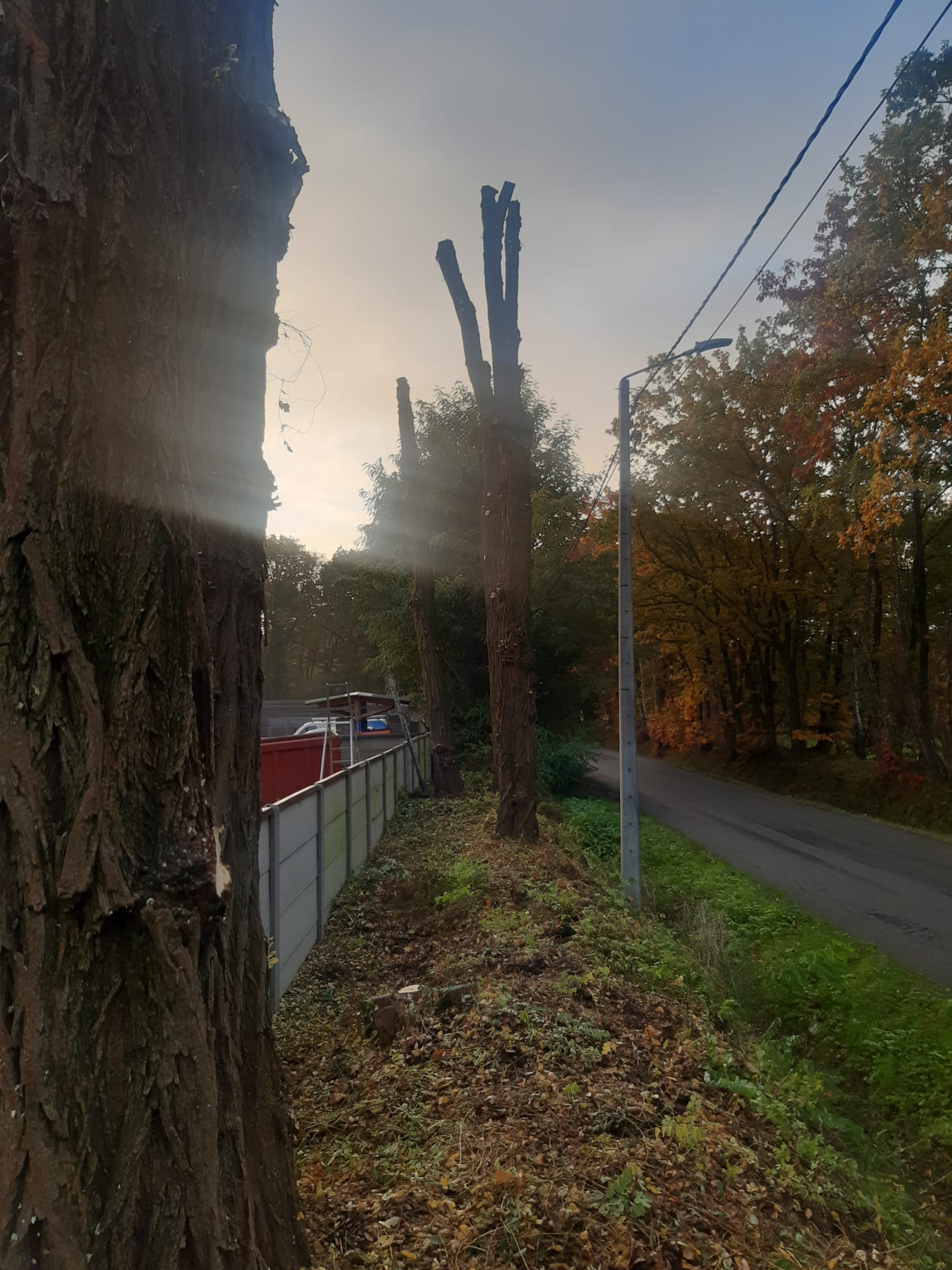 WhatsApp Image 2024-11-01 at 20.01.04 (1)