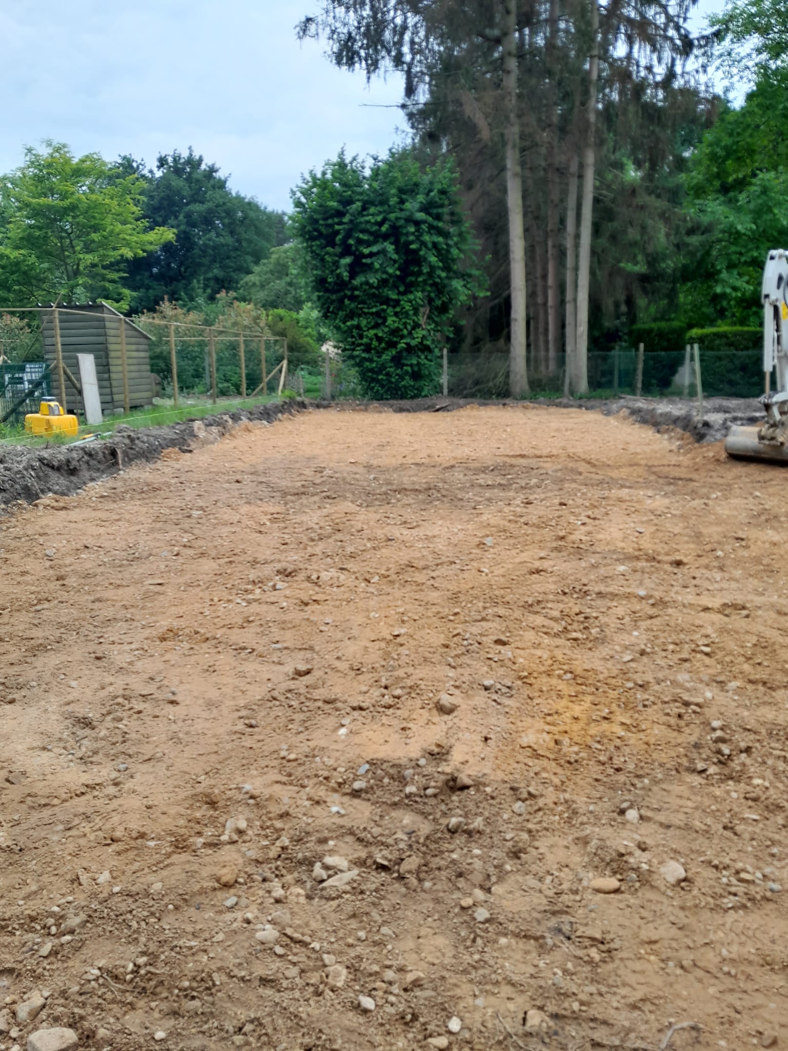 WhatsApp Image 2024-11-01 at 20.08.00