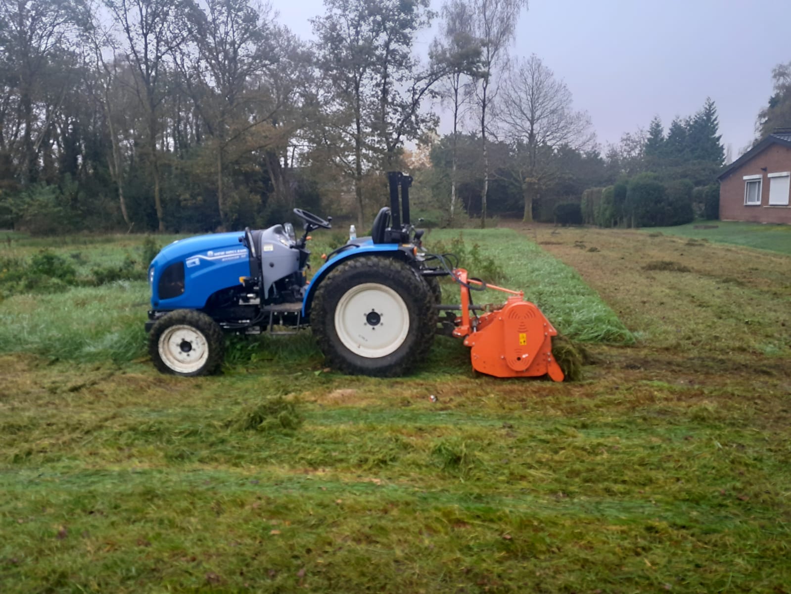 WhatsApp Image 2024-11-02 at 08.44.20