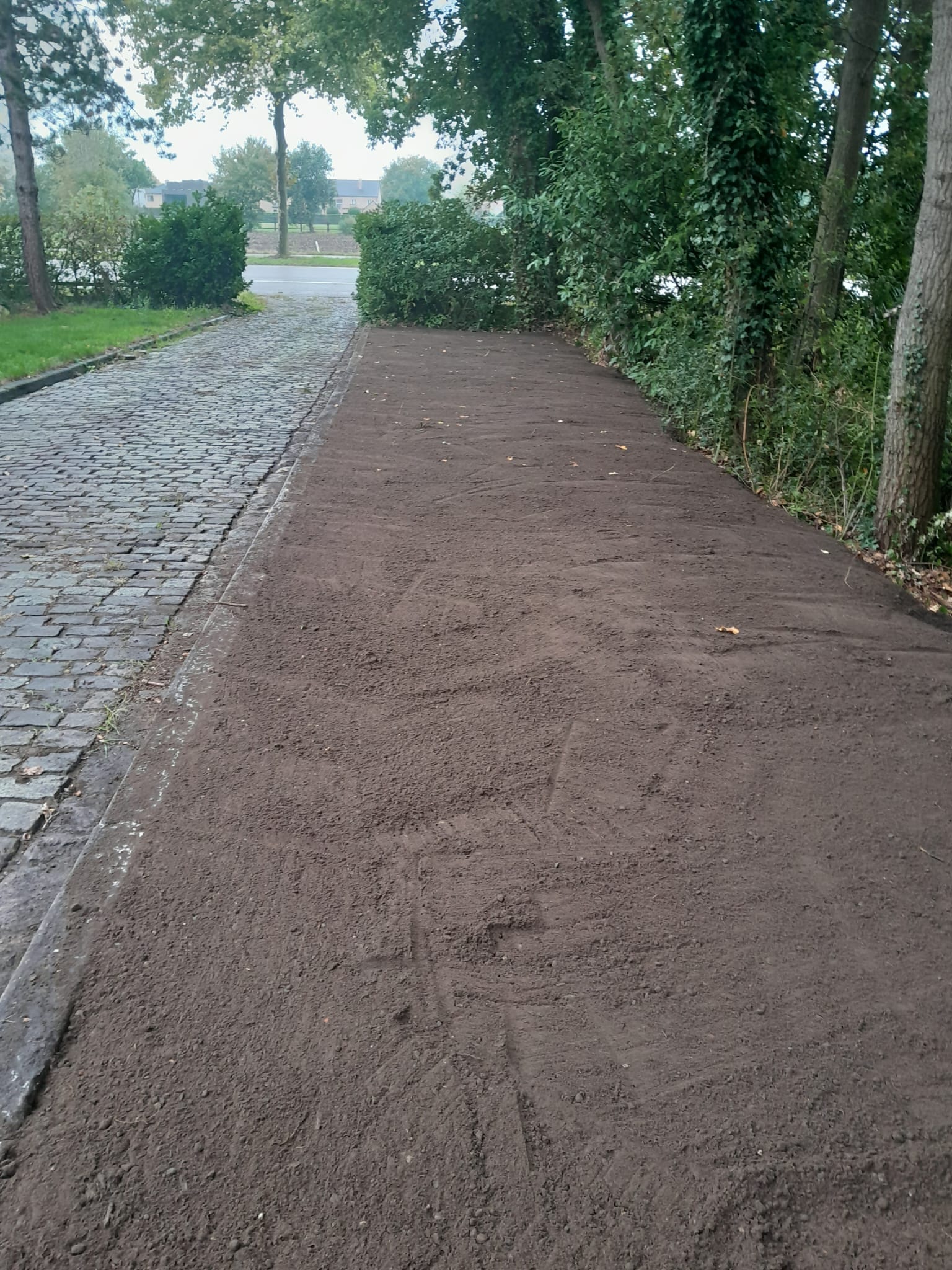 WhatsApp Image 2024-12-01 at 22.33.42